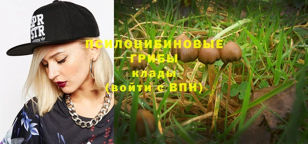 прущая мука Карталы
