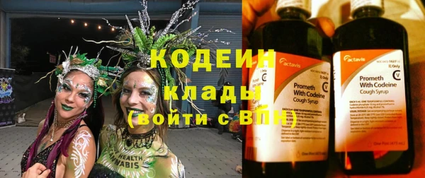 дурь Карпинск