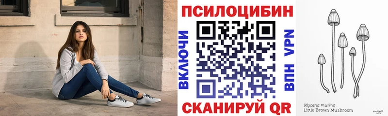 Купить где  Родники  Галлюциногенные грибы прущие грибы 